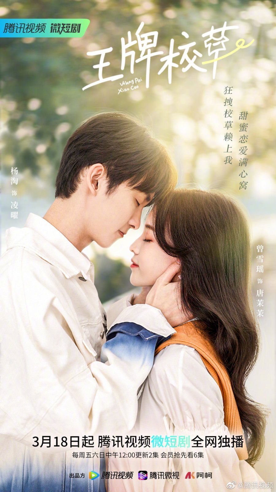 Школьный красавчик - главный постер