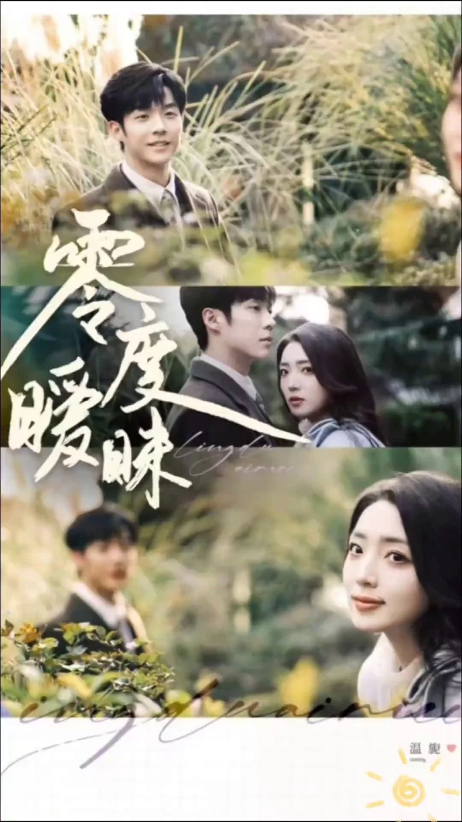 Мягкость диких тел - главный постер